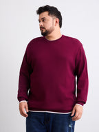 Flat Knit Full Sleeve Polo Ribbed T Shirt  - Maroon - Style 133